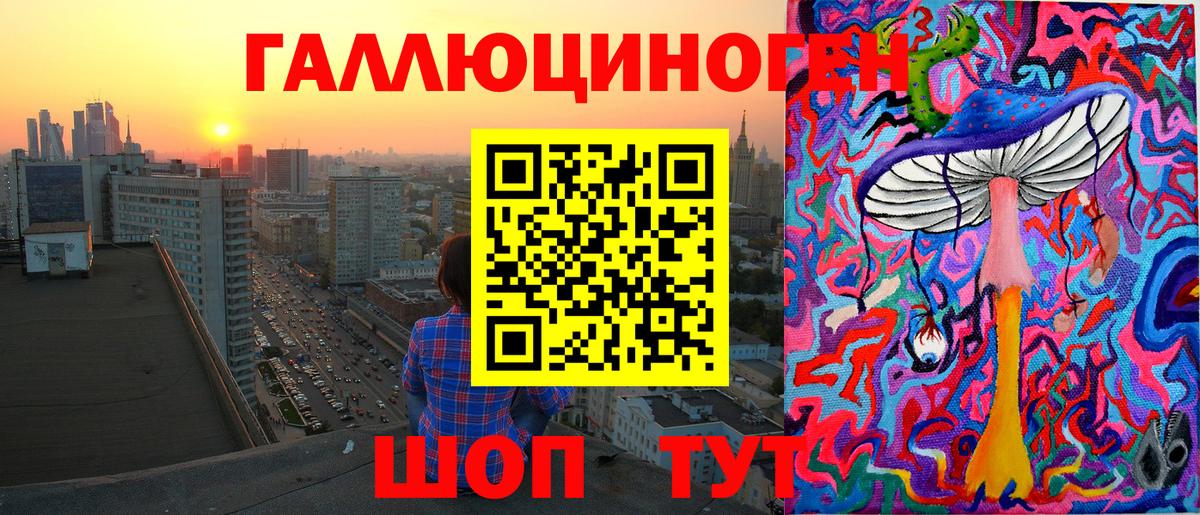Псилоцибиновые грибы мицелий Дивногорск