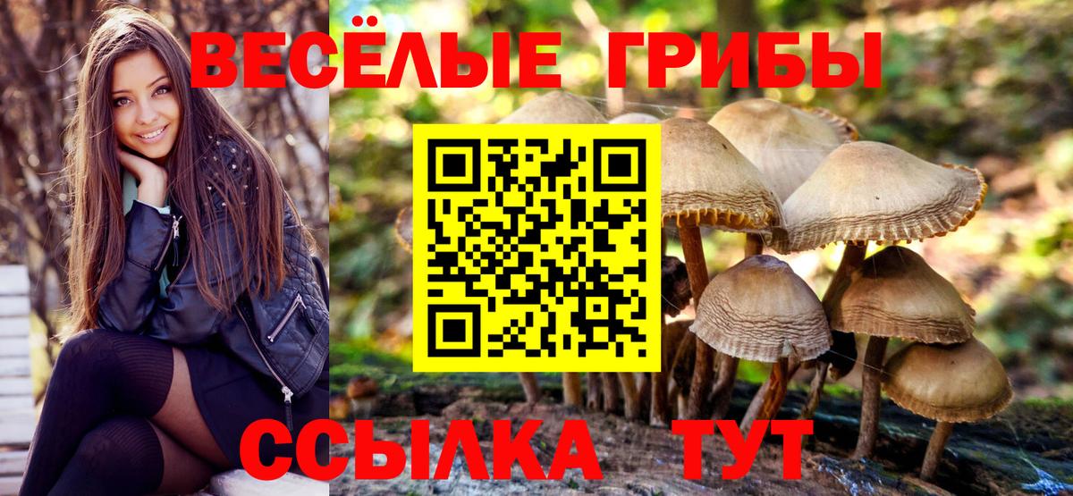 Дивногорск  Галлюциногенные грибы мицелий  Вход с VPN 